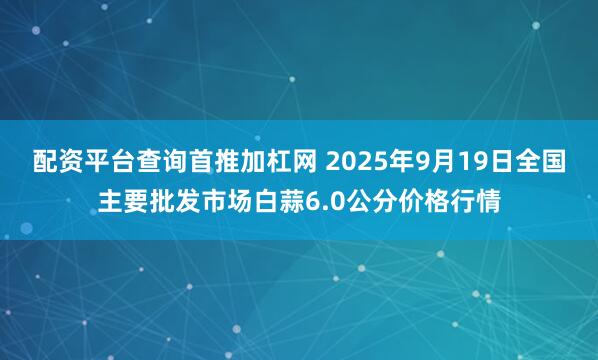 配资平台查询首推加杠网 2025年9月19日全国主要批发市场白蒜6.0公分价格行情